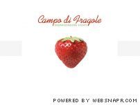 Campo di fragole