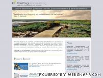 Elleffegi Consulting srl
