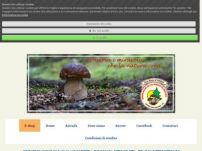 Serfunghi di Calabretta Bruno