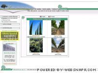 Ideaverde Vivai in Umbria
