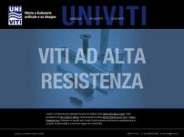 Univiti srl