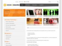 Rocchi consulting - web & performance