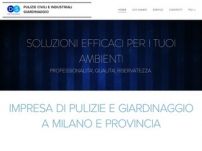 Ds professional