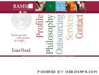 BAMS gestione del credito