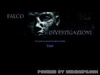 FALCO INVESTIGAZIONI