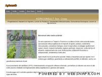Progettazione impianti di vigneti con gps satellitare, potatura, vendemmia meccanizzata, consulenza enologica, lavori di agricoltura