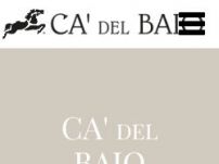 Azienda Agricola Cà del Baio - Treiso