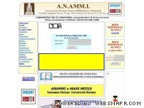 Anammi