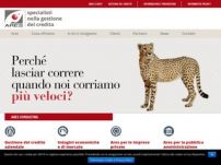 ARES, specialisti nella gestione del credito