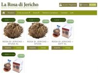 Rosa di Jericho