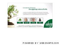 ABCG Consulting