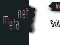 NETMETA