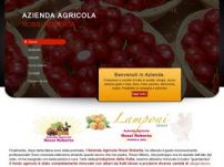 Produzione e Vendita frutta