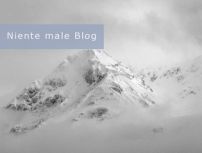 Niente Male