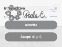 Paola C. Gioielli