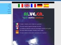 ri.ve.ca. auto motive solutions