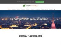 CGM Consulting S.r.l.