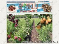 Vivai Piante Spinelli