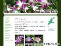 Visita Il Gabbiano s.c.r.l.