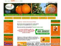 Siciliarance - Vendita Arance