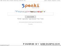 Spenki Enterprise Web