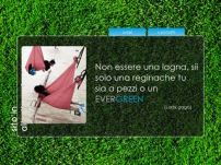 EVERGREEN Fitness - Palestra di Civitanova Marche