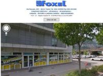 Foxel