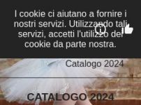 Il Ritmo del Successo