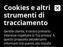 Italwear srl