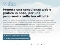 Consulenze web