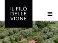 Il Filò delle Vigne s.s.