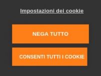 Noleggio con conducente Roma