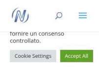 Web designer & consulente seo