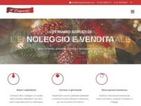 Noleggio addobbi natalizi