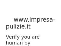 www.impresa-pulizie.it