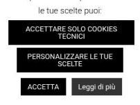 Delfanti Import Export srl