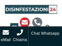 Disinfestazioni 24 - Fidati del n.1