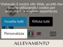 Allevamento Gatti Ragdoll Silmarilions - Allevamento professionale gatti Ragdoll