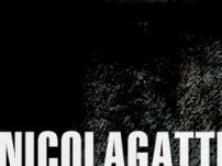 Nicola Gatti Aesthetic Design