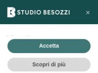 Studio Besozzi