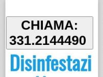 Disinfestazione calabroni Firenze