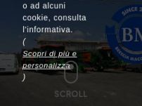 BSM Brescia Macchine SpA