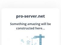 Pro-Server