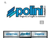 POLINI MOTORI