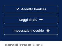 BORELLI group s.r.l.