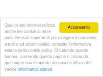 Investigatore Privato