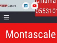 Tecnosancentro.it montascale e ausili per dialbili