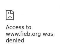 FIEB Srl