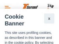 targetsas.it cancelleria online