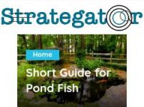 Strategator - Business portal